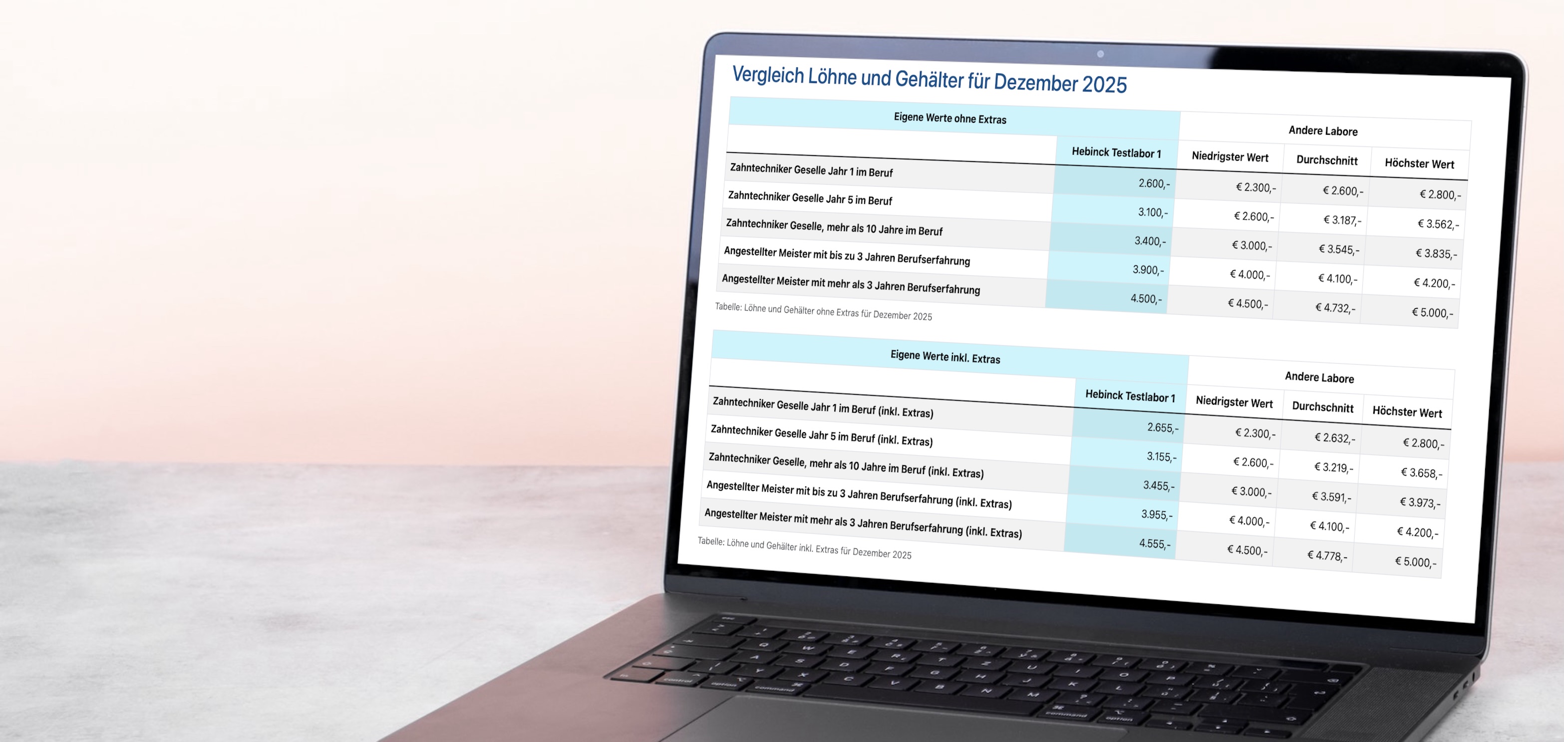 Auswertung von Löhnen für den Vergleich des Lohnniveaus.